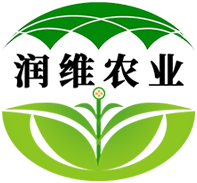 武汉温室大棚_连栋大棚_武汉温室大棚厂家-武汉润维农业科技有限公司